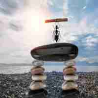 cdn插‌件‌怎‍么‍用﻿